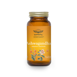 Soaring Free Superfoods Ashwaganda Capsules